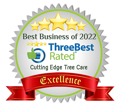 TBR Best Business of 2021
