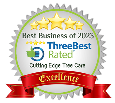 TBR Certificate of Excellence